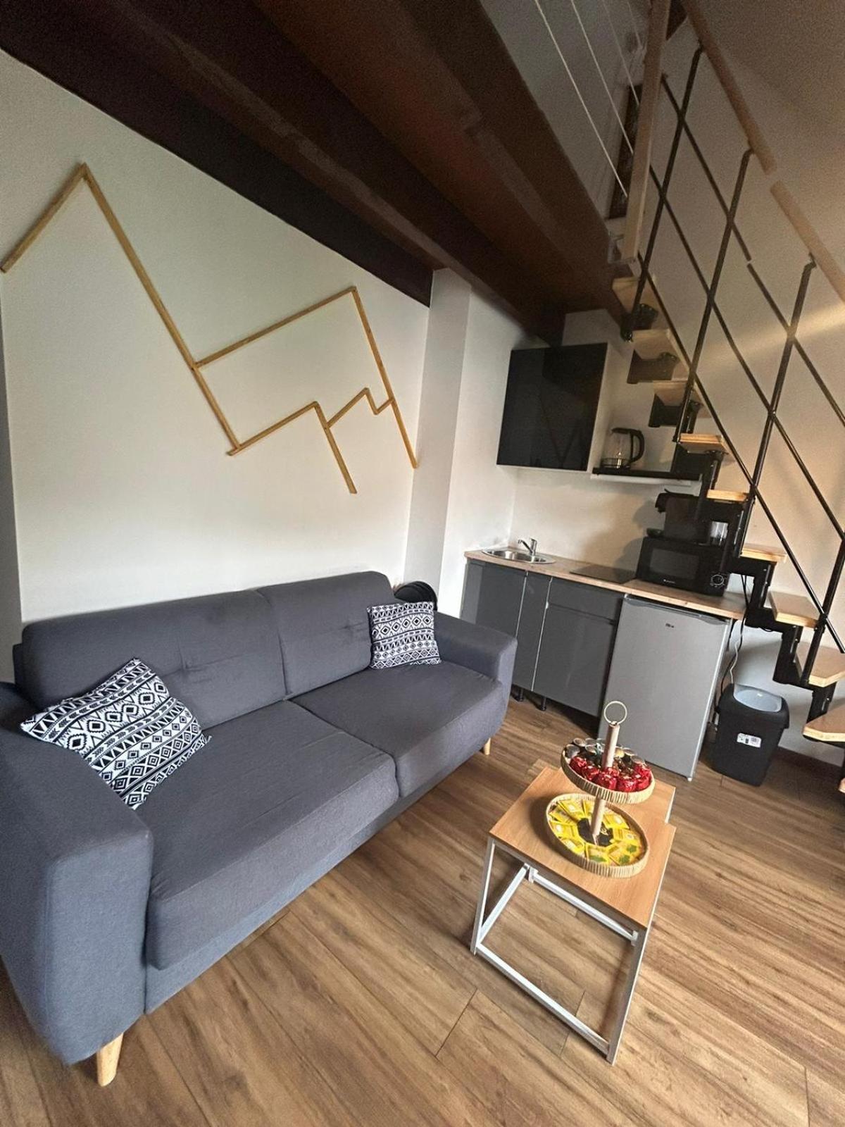 Reve Divin T4 Avec Parking-Barbecue-Laverie-Bagagerie-Salle De Sport-Aire De Jeux-Climatise Lourdes Buitenkant foto